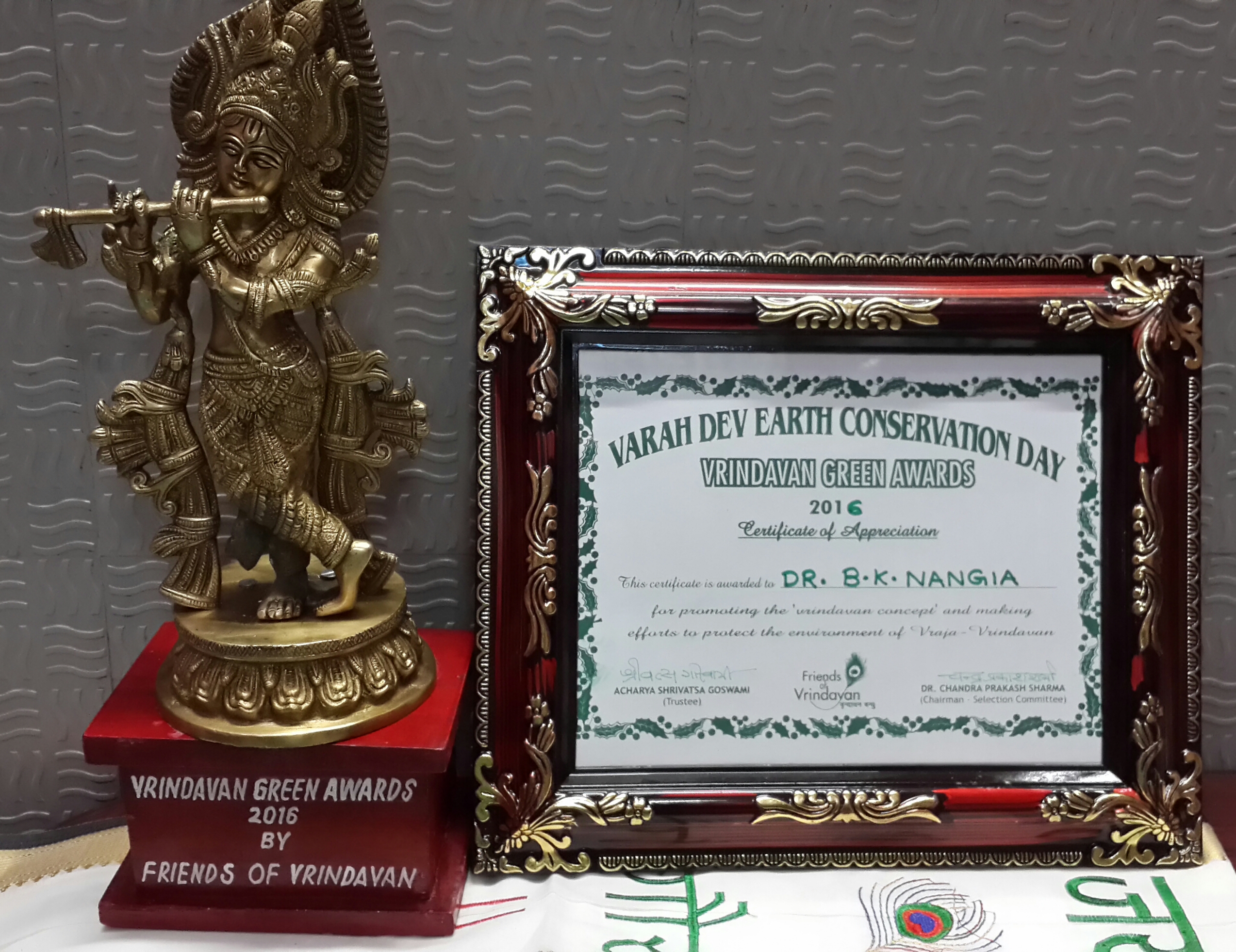 Awards and Recognition